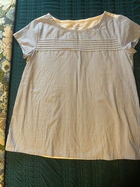 Vineyard Vines Blue and White Striped Short-Sleeve Top